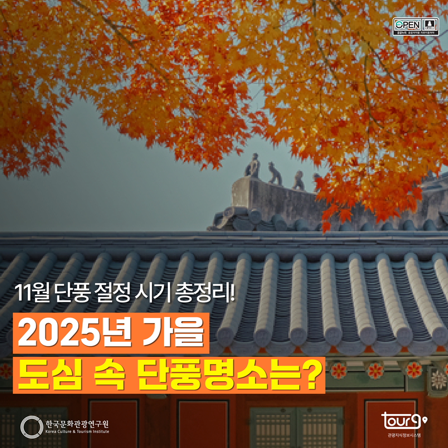 11월 단풍 절정 시기 총정리! 2025년 가을 도심 속 단풍명소는?