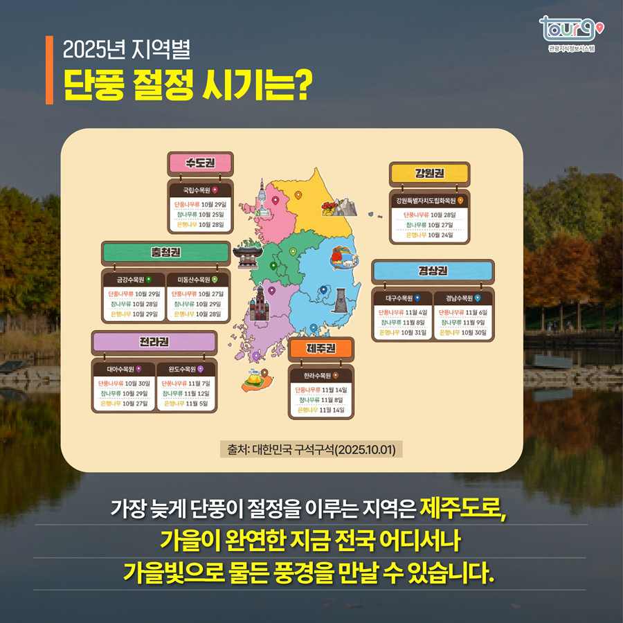 카드뉴스이미지