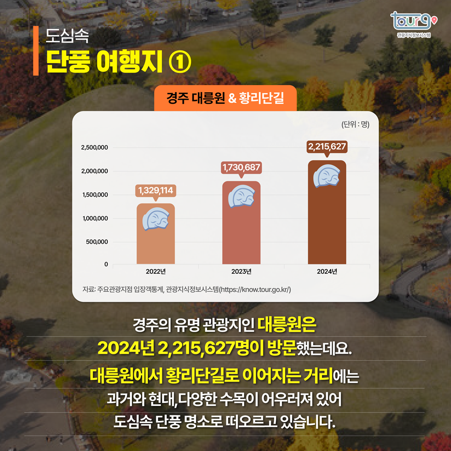 카드뉴스이미지