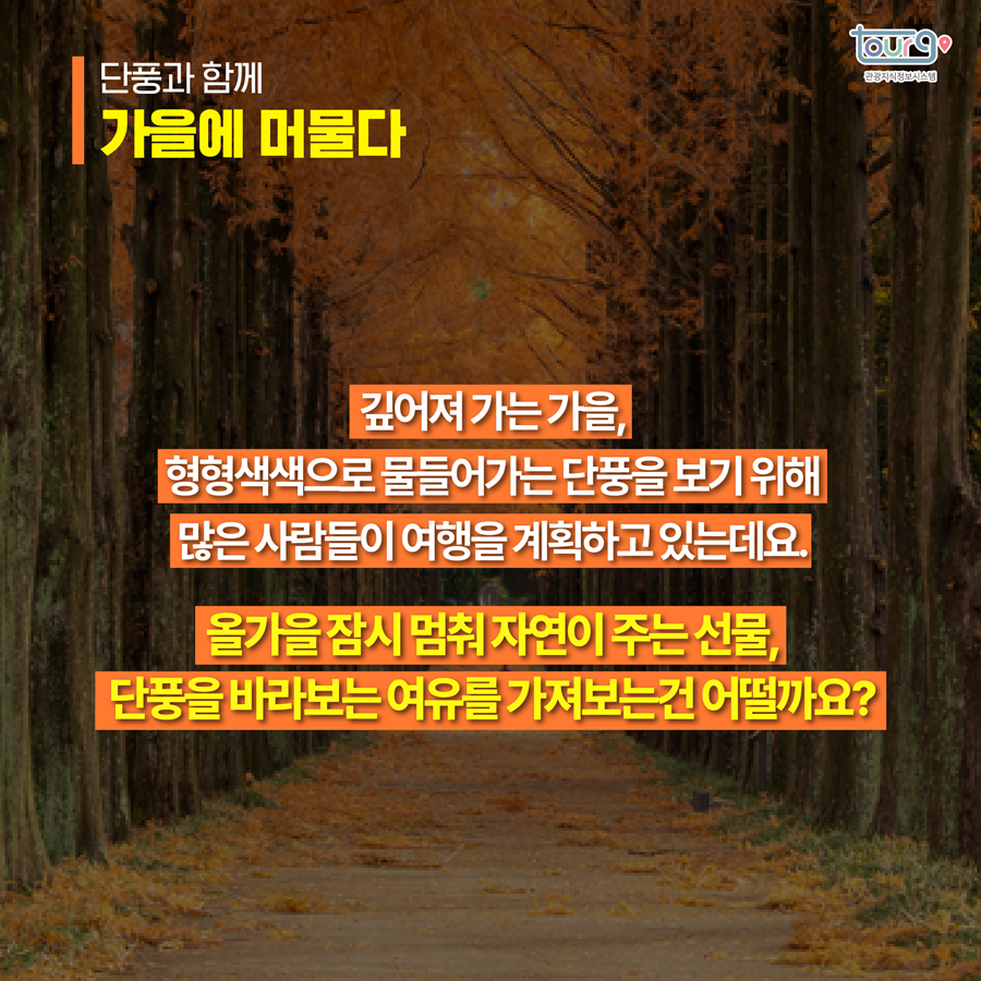 카드뉴스이미지