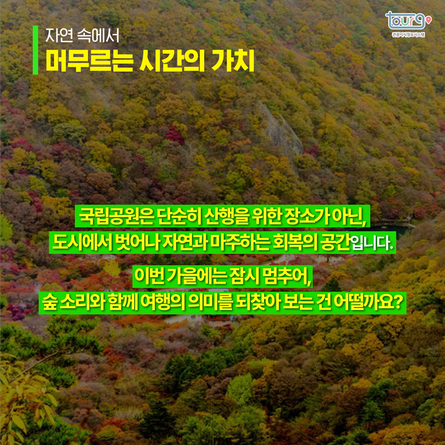 카드뉴스이미지