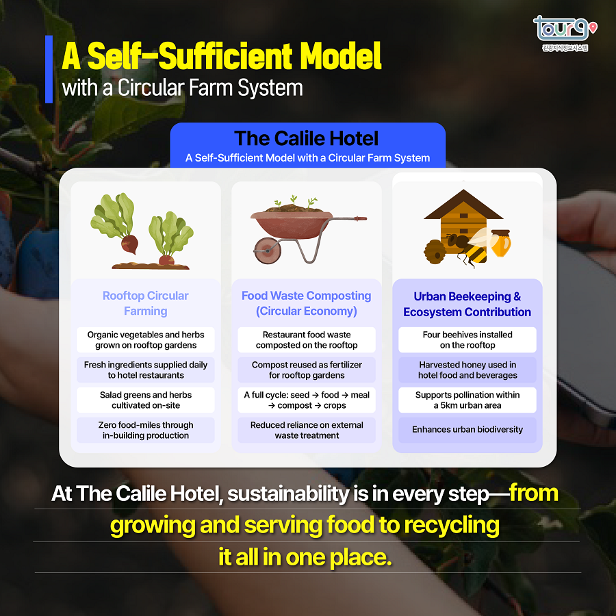 카드뉴스이미지