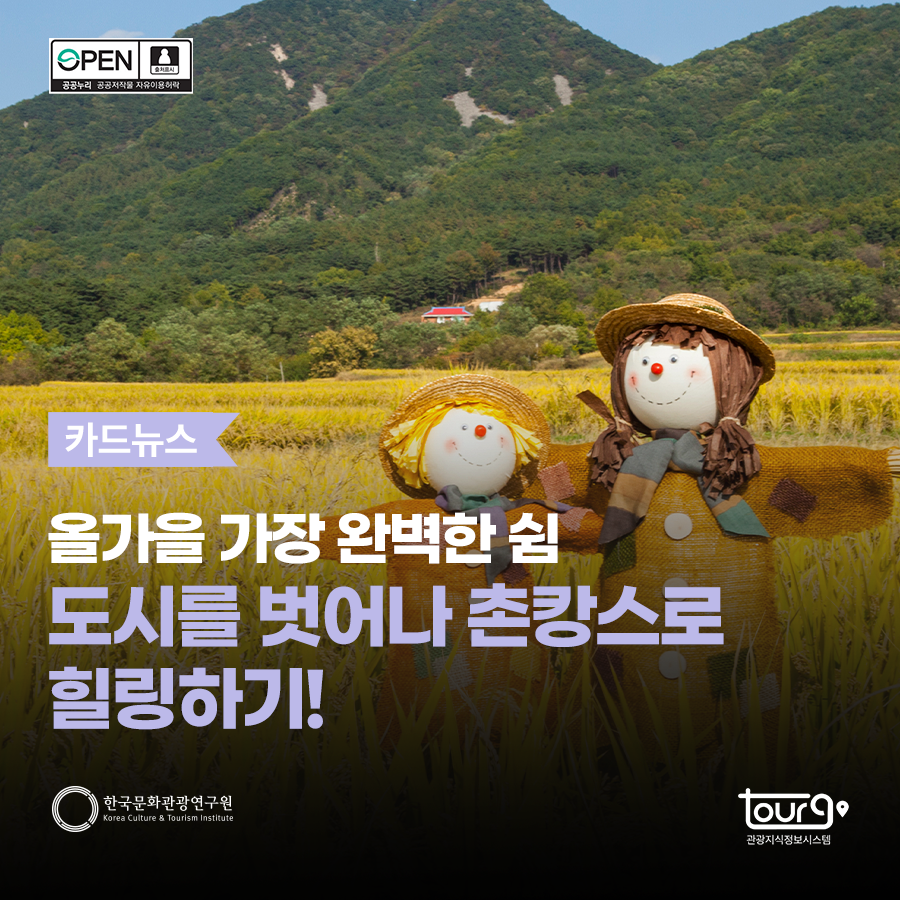 올가을 가장 완벽한 쉼: 도시를 벗어나 촌캉스로 힐링하기!