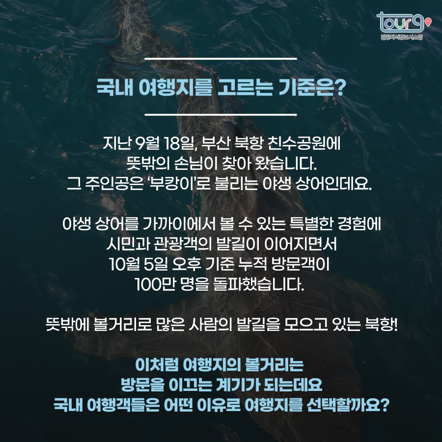 카드뉴스이미지