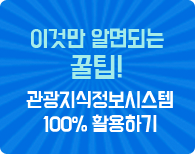 이것만 알면되는 꿀팁! 관광지식정보시스템 100% 활용하기